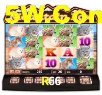 R66