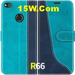 Sistemas de Segurança R66
